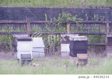 大曽公園 愛知県常滑市 大曽公園 愛知県常滑市 94036214