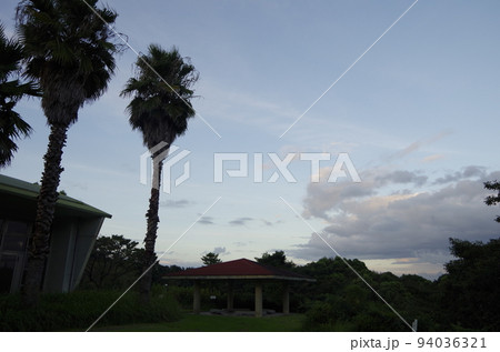 大曽公園 愛知県常滑市 大曽公園 愛知県常滑市 94036321