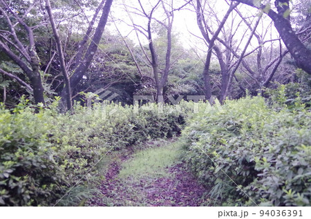 大曽公園 愛知県常滑市 大曽公園 愛知県常滑市 94036391