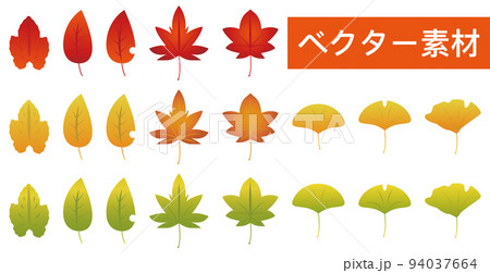 葉っぱ 紅葉 ベクター素材 94037664