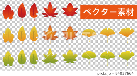 Leaf autumn leaves vector material 94037664