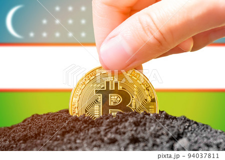 Legalization of bitcoin in Uzbekistan. Planting bitcoin in the ground against the background of the flag of Uzbekistan. Uzbekistan - investment in cryptocurrency Legalization of bitcoin in Uzbekistan. Planting bitcoin in the ground against the background of the flag of Uzbekistan. Uzbekistan - investment in cryptocurrency 94037811