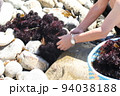 ウニ漁 94038188