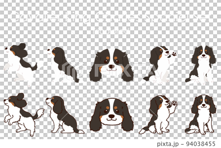 シンプルで可愛いこげ茶キャバリア・キング・チャールズ・スパニエルのイラストセット　主線あり・なし 94038455