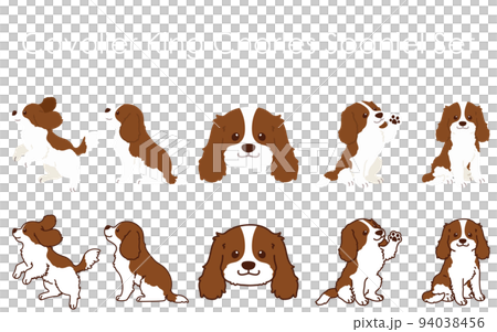 シンプルで可愛いキャバリア・キング・チャールズ・スパニエルのイラストセット　主線あり・なし 94038456