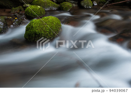 川俣川の水流　苔が生える岩 94039067