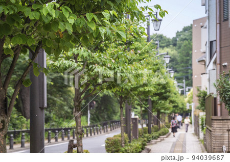 風の散歩道 94039687