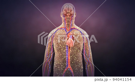 loss of bacteria in the body loss of bacteria in the body 94041154