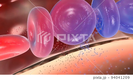 Oxygen and Carbon Dioxide Exchange in the Human Lung Oxygen and Carbon Dioxide Exchange in the Human Lung 94041209