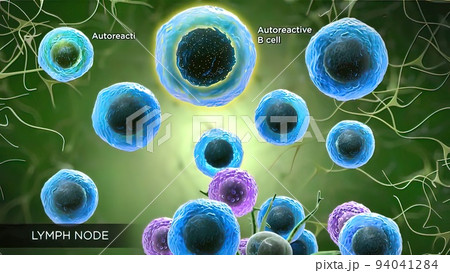 lymph nodes located in many parts of the body 94041284