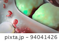Liver cells become infected with virus 94041426
