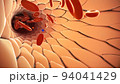 Human liver anatomy and definition of liver parts 94041429