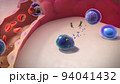 Immune system defense, functioning in the body 94041432
