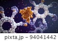 Antibodies destroy an infected cell by a virus, immun defense kill the infected cell 94041442