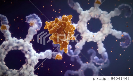 Antibodies destroy an infected cell by a virus, immun defense kill the infected cell Antibodies destroy an infected cell by a virus, immun defense kill the infected cell 94041442