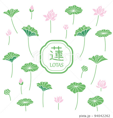 蓮のイラスト7 蓮のイラスト7 94042262