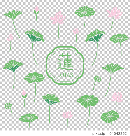 蓮のイラスト7 蓮のイラスト7 94042262