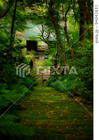 苔寺の緑に包まれる階段 94042631