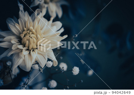 シックな花の背景素材 94042649