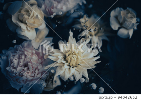 シックな花の背景素材 94042652