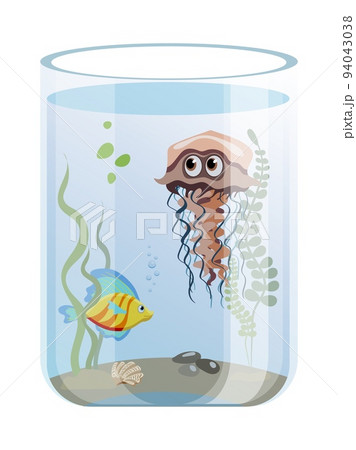 Cylinder aquarium with colorful fish, jellyfish and seaweed, isolated on white background Cylinder aquarium with colorful fish, jellyfish and seaweed, isolated on white background 94043038