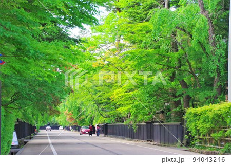 秋田の風景 新緑の角館の武家屋敷通り 秋田の風景 新緑の角館の武家屋敷通り 94043246