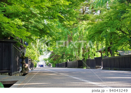 秋田の風景　新緑の角館の武家屋敷通り 94043249