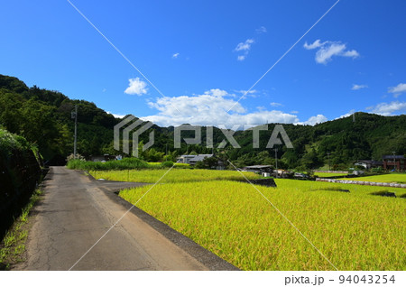 田んぼの横を通る道　富岡の棚田 94043254