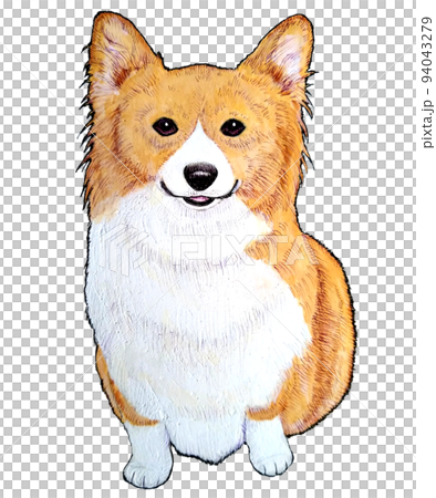 sitting fluffy corgi 94043279