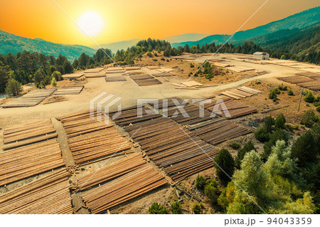 Aerial view of sawmill with timber, chopped a lot of pine tree wood logs. Top, drone view. Sunset Aerial view of sawmill with timber, chopped a lot of pine tree wood logs. Top, drone view. Sunset 94043359