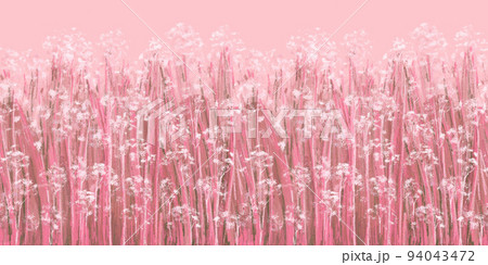 Coral pink Nature floral seamless border. Beautiful meadow twigs with white flowers and leaves and grass.  94043472