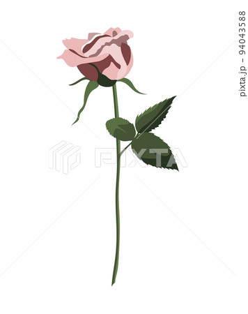 single pink rose clip art