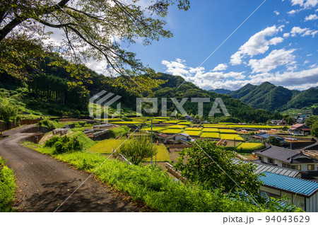 初秋の棚田風景 富岡の棚田の眺め 初秋の棚田風景 富岡の棚田の眺め 94043629