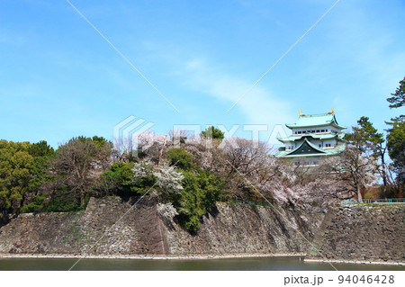 満開の桜と名古屋城の風景 94046428