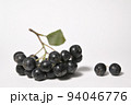 Closeup Black Chokeberry Berries Aronia Melanocarpa 94046776