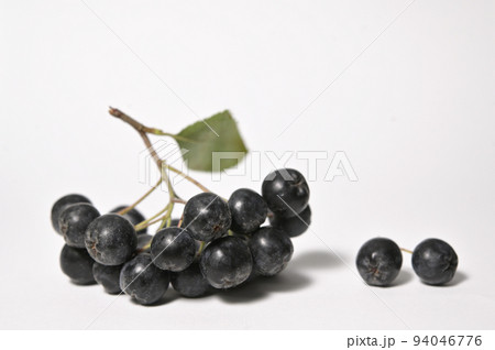 Closeup Black Chokeberry Berries Aronia Melanocarpa 94046776