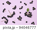 Closeup Black Chokeberry Berries Aronia Melanocarpa 94046777