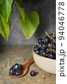 Black Chokeberry Berries Aronia Melanocarpa 94046778