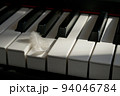 White Feather touching keyboard of piano 94046784