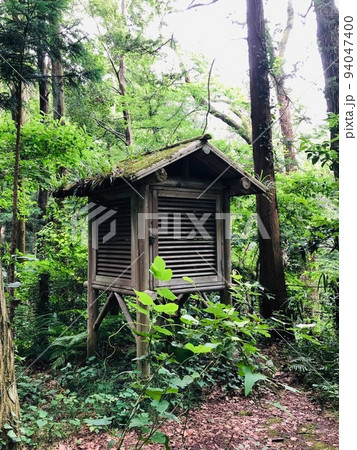 森の中の百葉箱 94047400