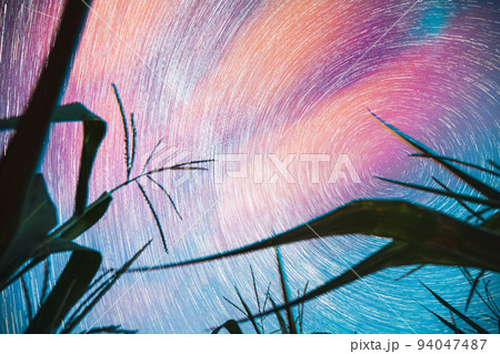 Bright Night Starry Sky Glowing Stars And Meteoric Track Trails Above Maize Corn Field. Serenity, Calmness. Soft Blue-orange-pink Colours. Power Of Mother Nature Concept. Fantasy, Illusion, Dream View 94047487