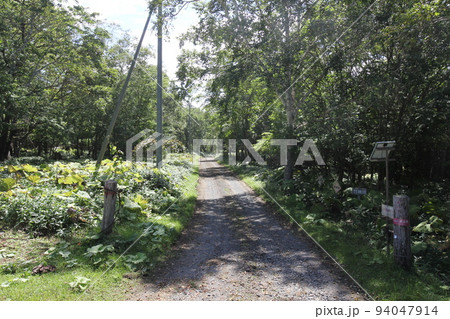 幻のキャンプ場！キトウシ野営場4 94047914