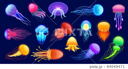 Glowing jellyfish. Cartoon underwater exotic sea animals of different colors and shapes floating in water. Vector cute transparent undersea creatures set 94049471