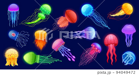 Cartoon jellyfish. Exotic glowing underwater animal, deep marine glowing creature with tentacles different colors and shapes. Vector isolated set Cartoon jellyfish. Exotic glowing underwater animal, deep marine glowing creature with tentacles different colors and shapes. Vector isolated set 94049472