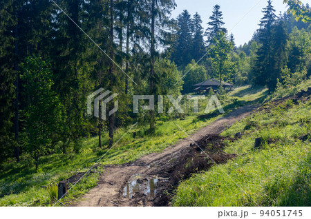 Pedestrian path in Slovakia to tripoint of Slovak, Czech Republic, and Poland. Road to border of Slovakia, Czech Republic, and Poland. Pedestrian path in Slovakia to tripoint of Slovak, Czech Republic, and Poland. Road to border of Slovakia, Czech Republic, and Poland. 94051745