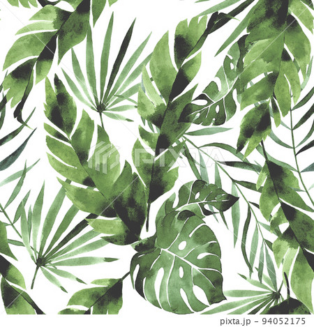 watercolor seamless pattern with tropical green leaves on white background. palm leaves, monstera, banana leaves. rainforests. 94052175