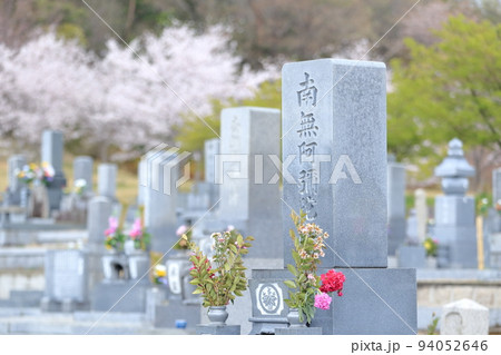 桜が咲く霊園 94052646