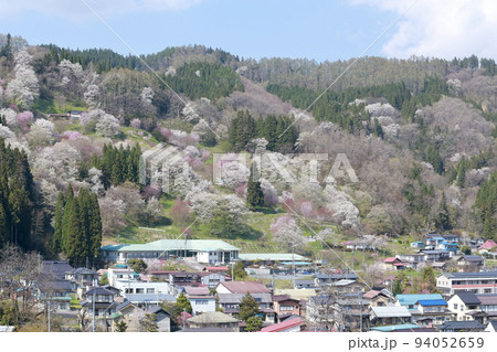 里山の桜（二反田の桜　長野県 小川村） 94052659
