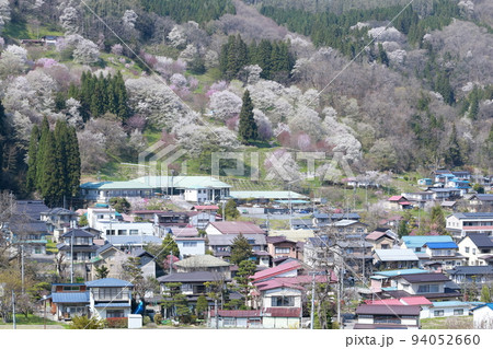 里山の桜（二反田の桜　長野県 小川村） 94052660