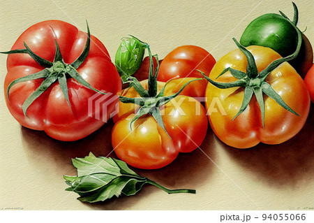 Fresh ripe tomatoes. Red tomato. Close-up juicy vegetables. Applicable for ketchup, juice advertising. 94055066